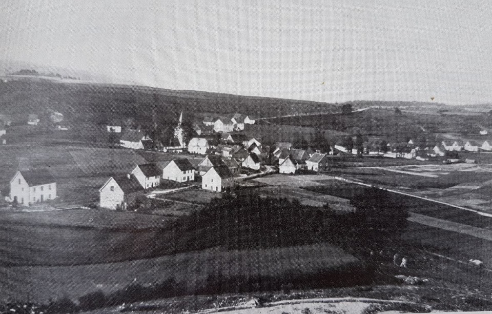 Heggen... vom Schattenberg