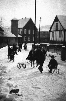 Heggen ... im Winter